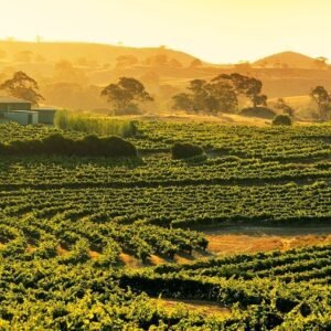 barossa 106648 1
