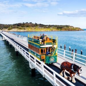 the victor harbor tramway